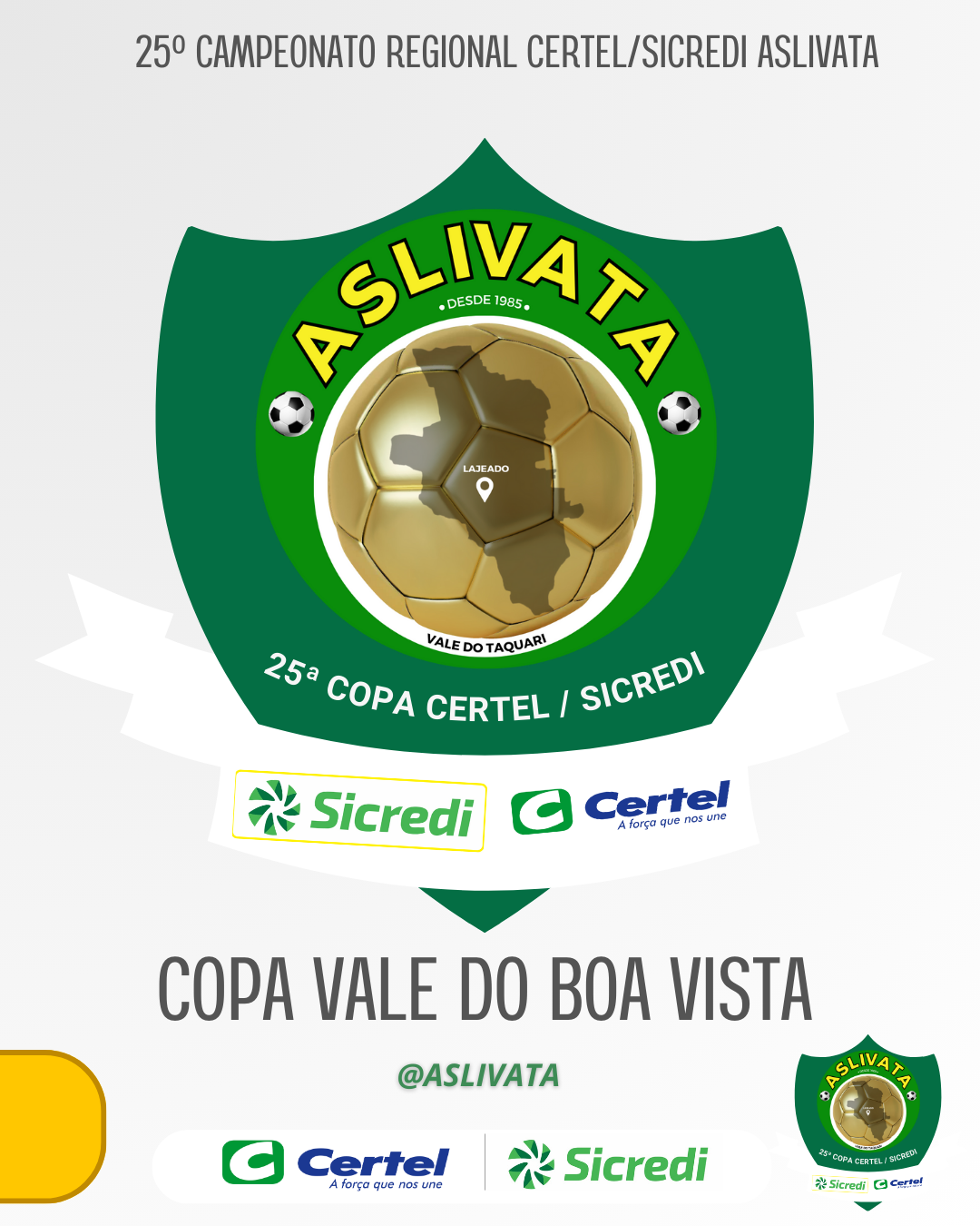 Regional Copa Vale do Boa Vista (Aspirantes) - Atualizado controle de cartões amarelo