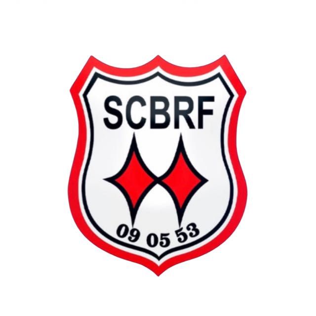 Cristiano Santos dos Santos