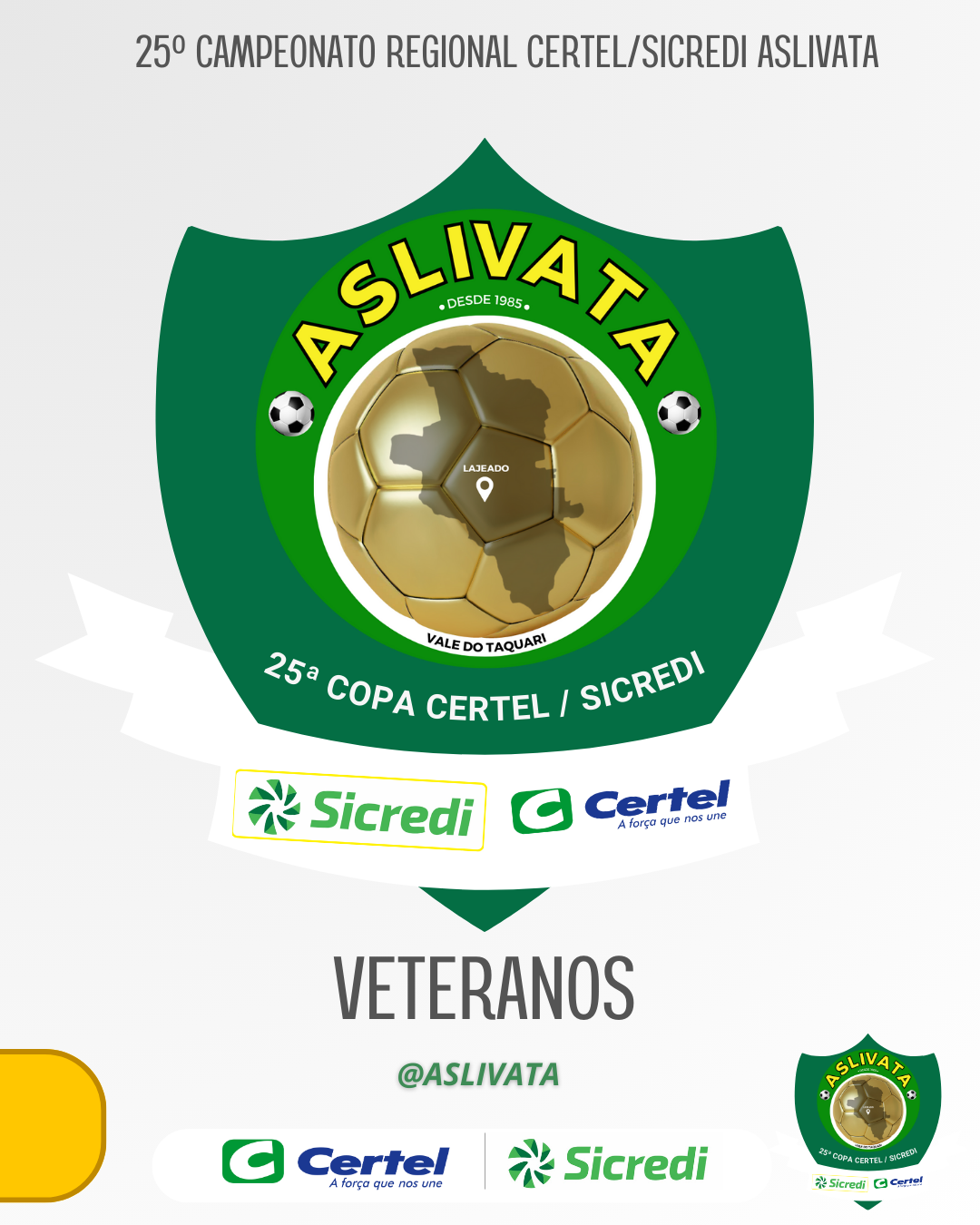 Liberada Nota Oficial Nº 05/2024 - Campeonato Regional Veteranos.