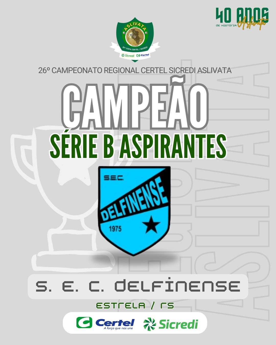 REGIONAL SÉRIE B - DELFINENSE É O GRANDE CAMPEÃO DO REGIONAL CERTEL / SICIREDI - SÉRIE B (ASPIRANTES) DA ASLIVATA NO ANO DE 2025!